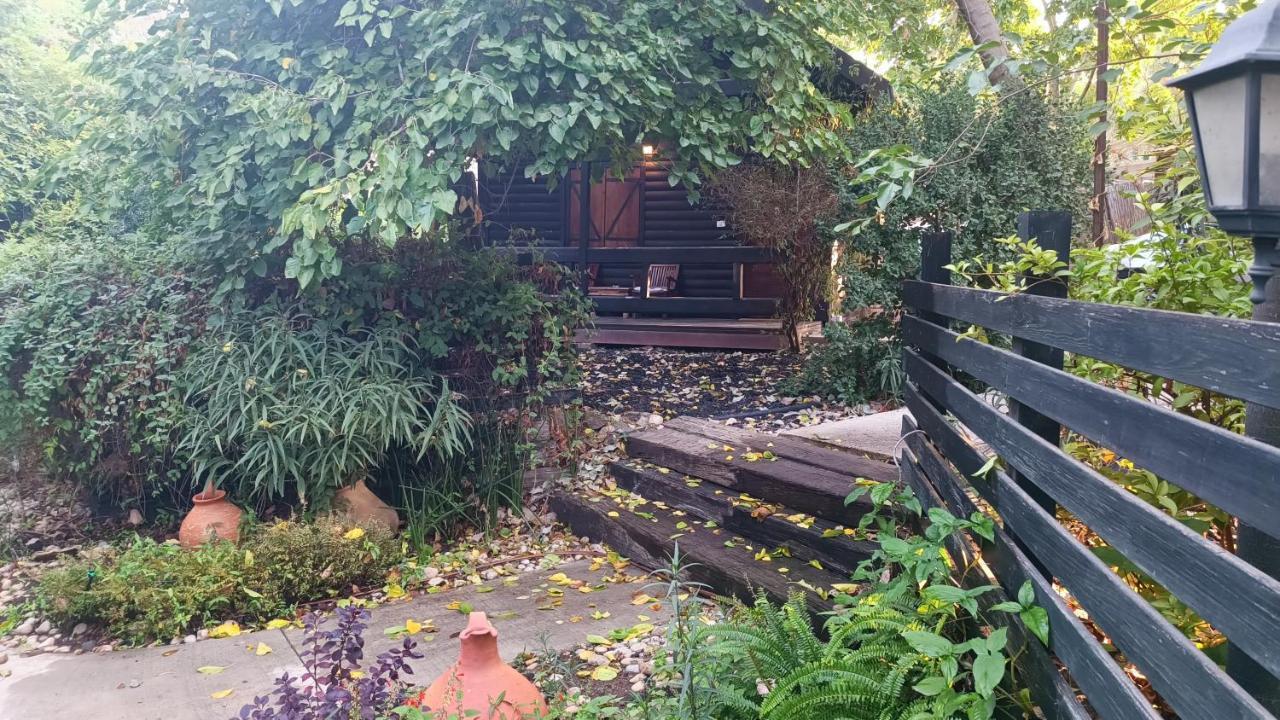 Cabin Resort モシャヴ・ラマト エクステリア 写真
